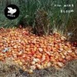Bloom Cd