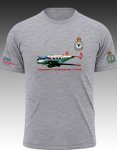 Rafa Beechcraft CT-128 Expeditor Mk. 3T Rcaf