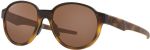 Hugo Boss HG1379