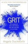 Grit - Why Passion And Resilience Are The Secrets To Success Paperback