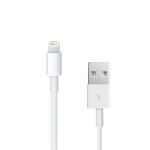 Amplify Lightning Charging Cable For Iphone & Ipad