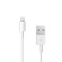 Amplify Lightning Charging Cable For Iphone & Ipad