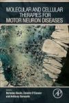 Molecular And Cellular Therapies For Motor Neuron Diseases Hardcover
