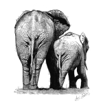 Elephants Art Print - A3