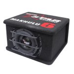 6.5" Makhulu 300W Rms Active Sub