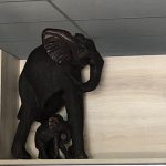 Wooden Large Elephant With Baby