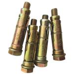 6X55MM Expansion Anchor PK2