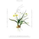 Symbolism 18 Art Print