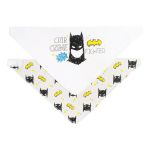 Baby 2 Pack Bandana Bib