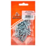Self Taping Screw 4.0 X 20MM 50 Piece