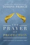 The Prayer Of Protection - Living Fearlessly In Dangerous Times Paperback