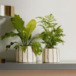 Planter Natural Double Stripe Black - Medium 18.4X14.2CM