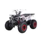 125CC Hunter Offroad Quad Bike Tao Motor + Remotes Red For 12 Years +