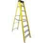 Ladder Fibre Glass 10 Step S/sided Partial