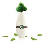 Urn For People