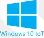 Dizzel Shopping Windows 10 Iot Ent 2016 Entry