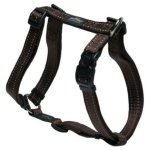 Rogz Utility Large Fanbelt Dog H-harness Chocolate Reflective Waggs Pet Shop
