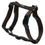 Rogz Utility Large Fanbelt Dog H-harness Chocolate Reflective Waggs Pet Shop