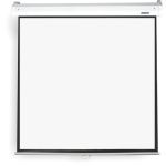 Parrot Pulldown Projector Screen 2450 X 1420MM