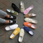 Women's Low Top Canvas Sneakers Lightweight Lace Up Walking Shoes Casual Comfy Outdoor Shoes