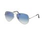 Ray Ban RB3025 Aviator