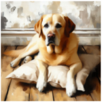 Stretched Canvas Labrador