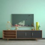 Kaitlyn Tv Unit