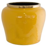 Mustard Vase With Gold Rim