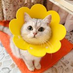Sunflower Shaped Cat Recovery Collar Felt Pet Cone Collar For After Surgery Adjustable Elizabeth Protective Circle Wound Healing
