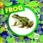 Life Cycle Of A Frog   Hardcover