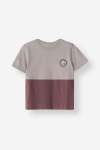 Regular Fit Colour Block Tee - 10 Mauve