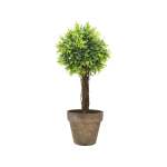 Potted Topiary Tree