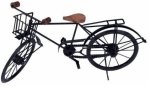 Iron Cycle