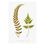 Gathering Green 12 Art Print