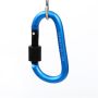 2 Pieces Carabiner Keychain