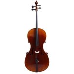 Sandner CC6 4 4 Concert Cello Outfit
