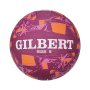 Gilbert Apt Netball