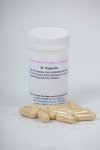 Fortifood - Isoflavone Extract 250MG 30 Capsules