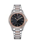 Eco-drive Silver Women's Watch EM0946-58E