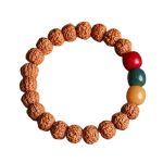 Lab Certified 5 Mukhi Rudraksha Bracelet With Mangal Ratna