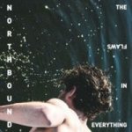 The Flaws In Everything Cd