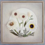 Secret Garden Ivory Art Print - 100 X 100CM Framed Canvas With Natural Wood Frame
