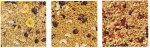Granola Fruity Granola Cashew Cranberry & Granola Berry Mix Bag