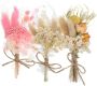 6PCS MINI Preserved Flower Bouquets Dried Floral Decorations For Wedding