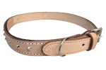 Leather Dog Collar Reinforced 32 30MM X 800MM