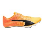 Puma Evospeed Brush 6 Athletics Shoes