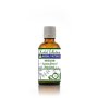 Horsetail Herbal Extract Equisetum Arvense - 50 Ml