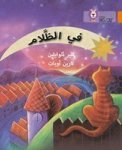 In The Dark - Level 6 Arabic English Paperback