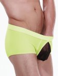Yellow With Black See Through Front