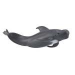 Sealife Pilot Whale